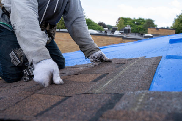 Quick and Trustworthy Emergency Roof Repair Services in Roseville, MN