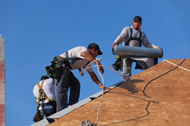 Best Storm Damage Roof Repair  in Roseville, MN