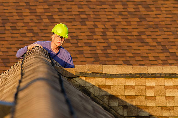 Best Roof Leak Repair  in Roseville, MN