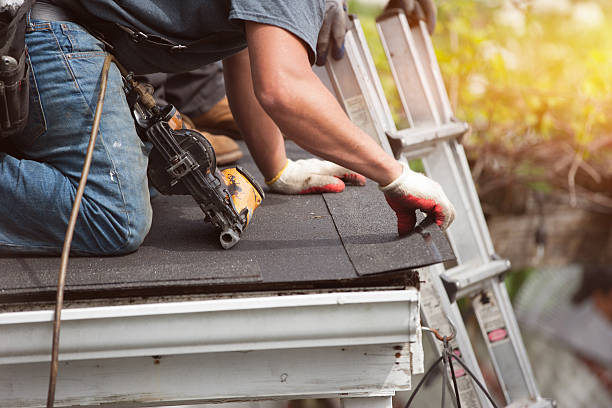Best Sealant for Roof  in Roseville, MN