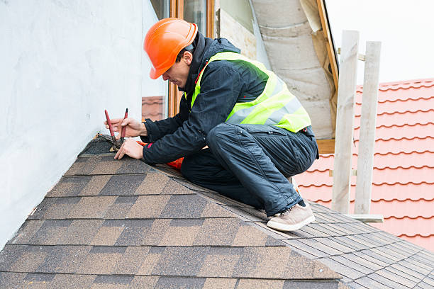 Best Gutter Installation and Roofing  in Roseville, MN